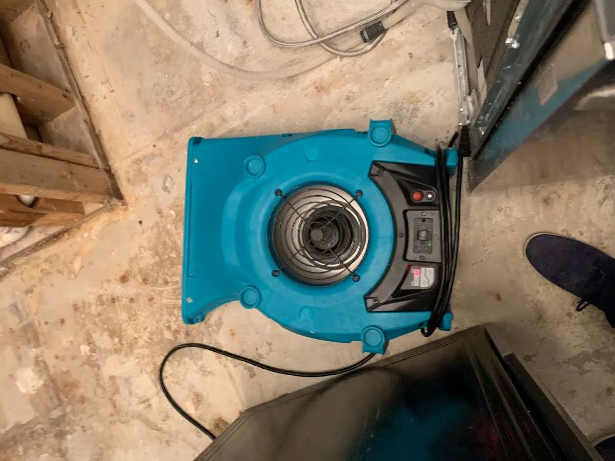 Air mover drying equipment for Mold Remediation & Removal in Lynnfield